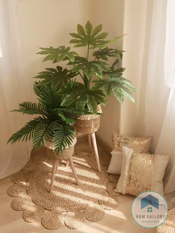 Pot and plant shape9
