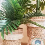 Pot and plant shape9