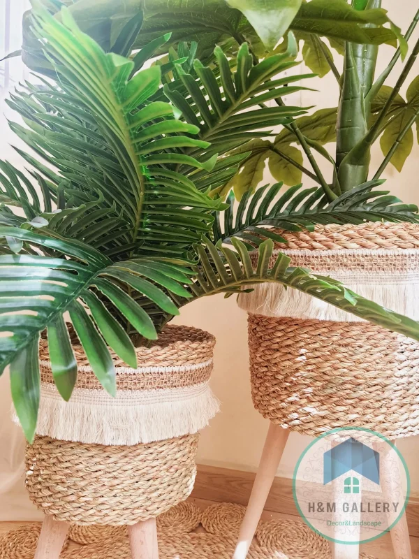 Pot and plant shape9