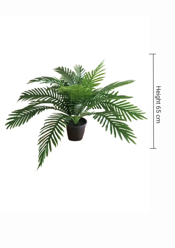 Pot and plant shape9