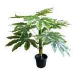 Pot and plant shape9