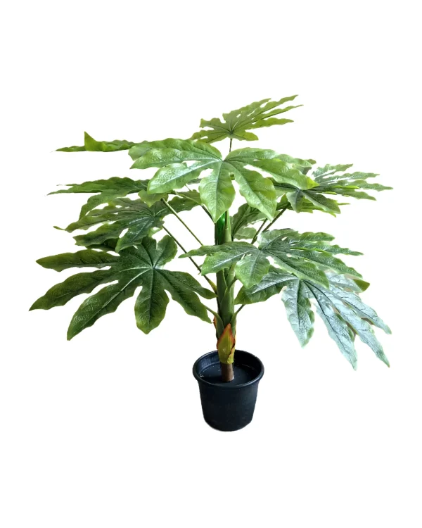 Pot and plant shape9