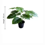 Pot and plant shape6