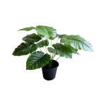 Pot and plant shape6