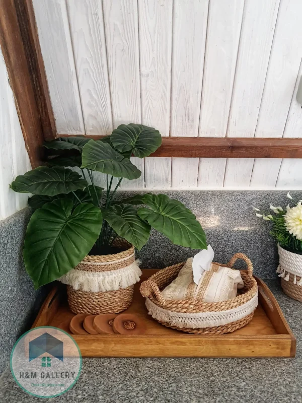 Pot and plant shape6