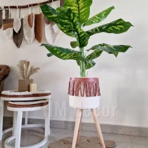 Set Pot and plant spp12