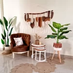 Set Pot and plant spp12