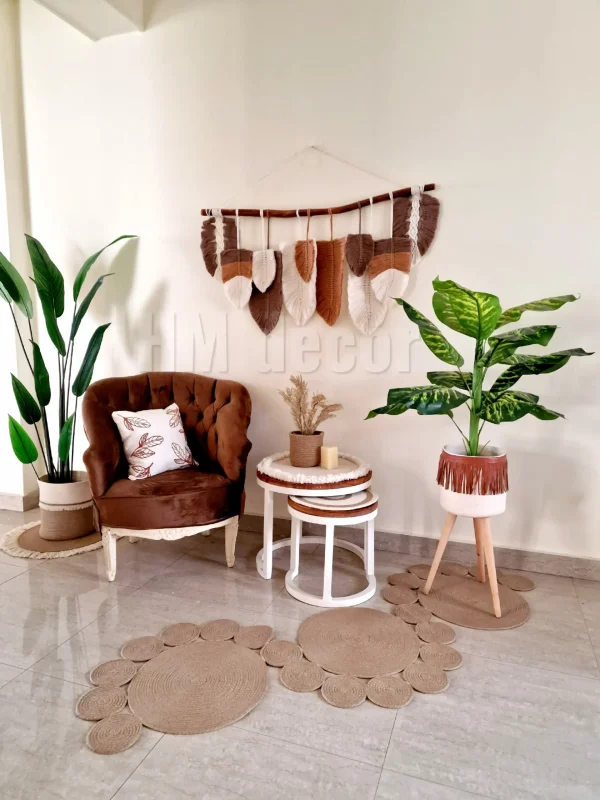 Set Pot and plant spp12