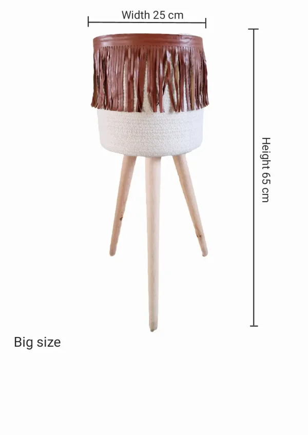 Set Pot and plant spp12