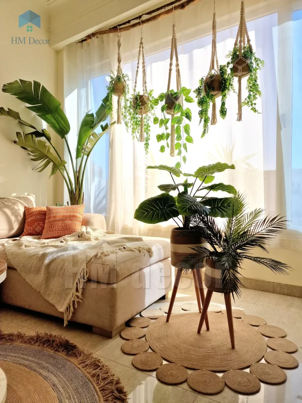 Pot and plant shape29