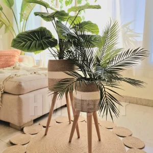 Pot and plant shape29