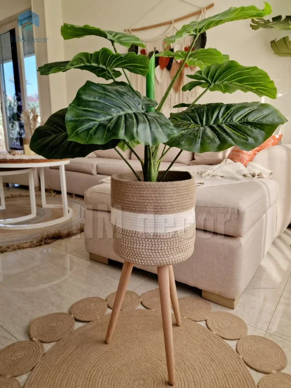 Pot and plant shape29