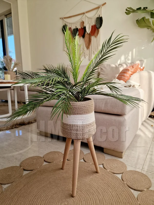 Pot and plant shape29