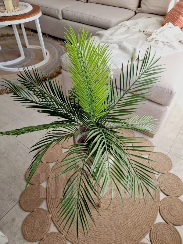 Pot and plant shape29