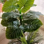 Pot and plant shape29