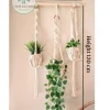 macrame hanging with pot&plant 6