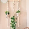 macrame hanging with pot&plant 6