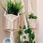 macrame hanging with pot&plant 6