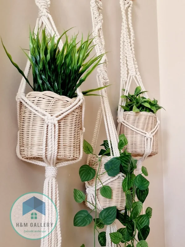 macrame hanging with pot&plant 6