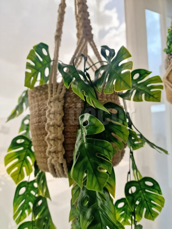 wall hang shape 31 macrame hanging with pot&plant 3