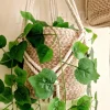 macrame hanging with pot&plant 7