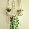 macrame hanging with pot&plant 7