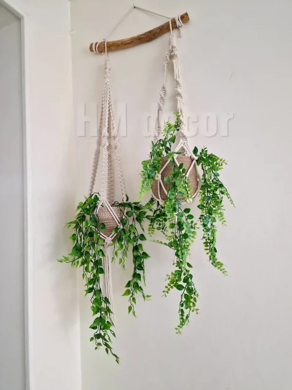 LogoLicious_20240216_151714 macrame hanging with pot&plant 8