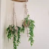 LogoLicious_20240216_151817 macrame hanging with pot&plant 8