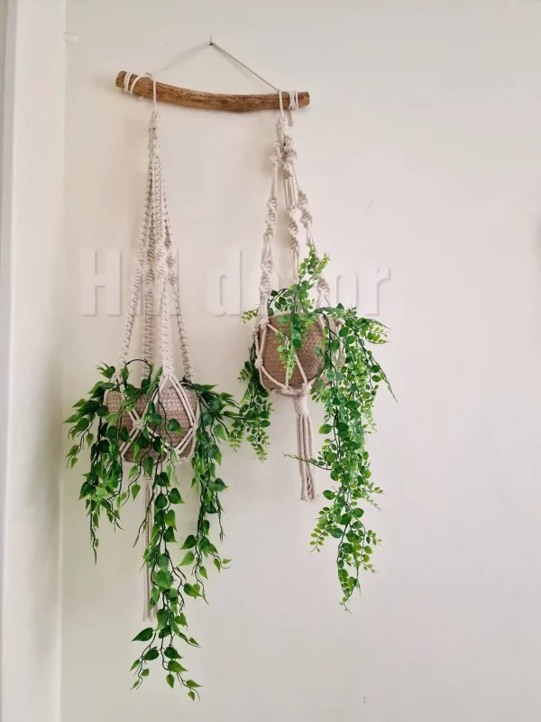 LogoLicious_20240216_151817 macrame hanging with pot&plant 8