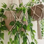 macrame hanging with pot&plant 8