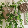 LogoLicious_20240216_151957 macrame hanging with pot&plant 8