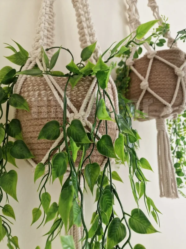 LogoLicious_20240216_151957 macrame hanging with pot&plant 8