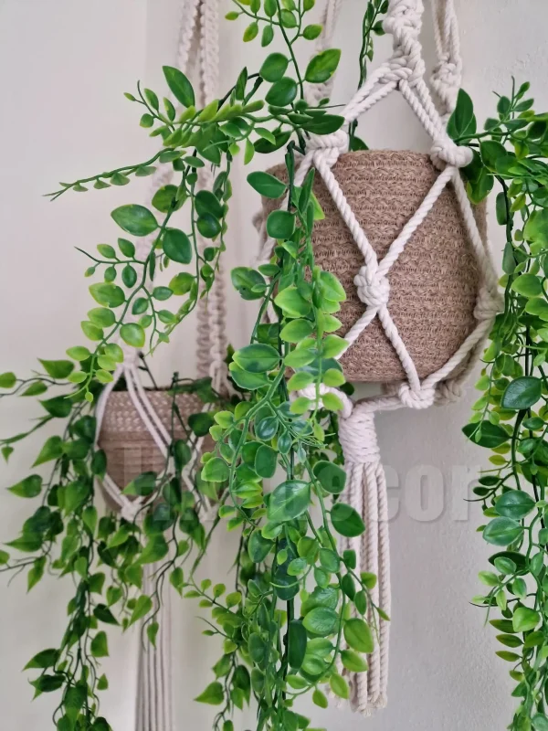 LogoLicious_20240216_152150 macrame hanging with pot&plant 8