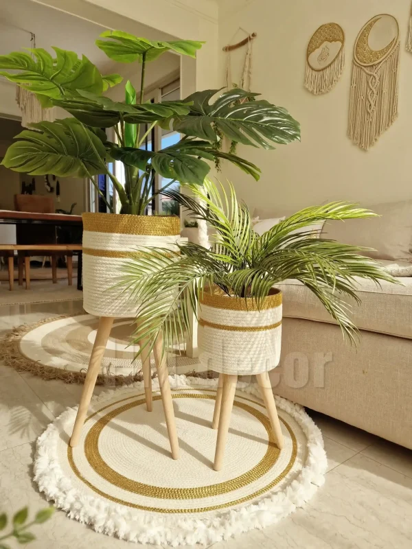 Pot and plant shape31