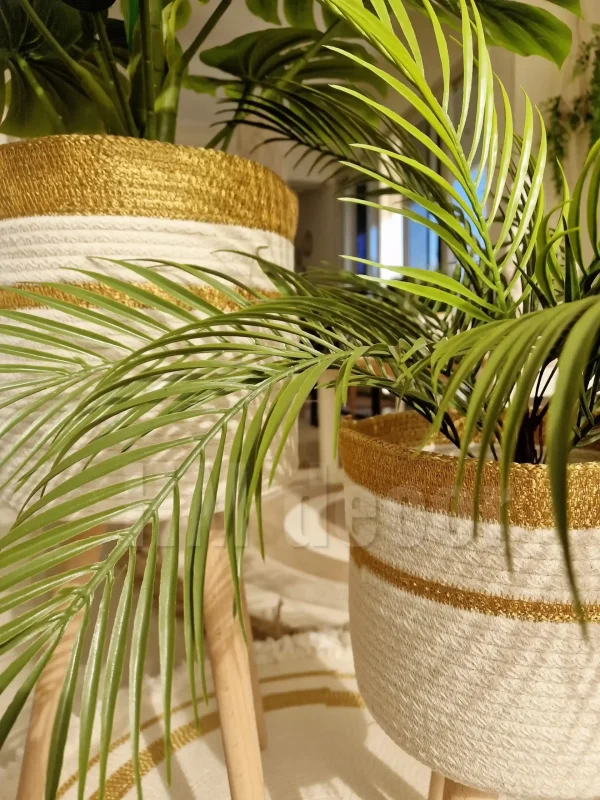 Pot and plant shape31