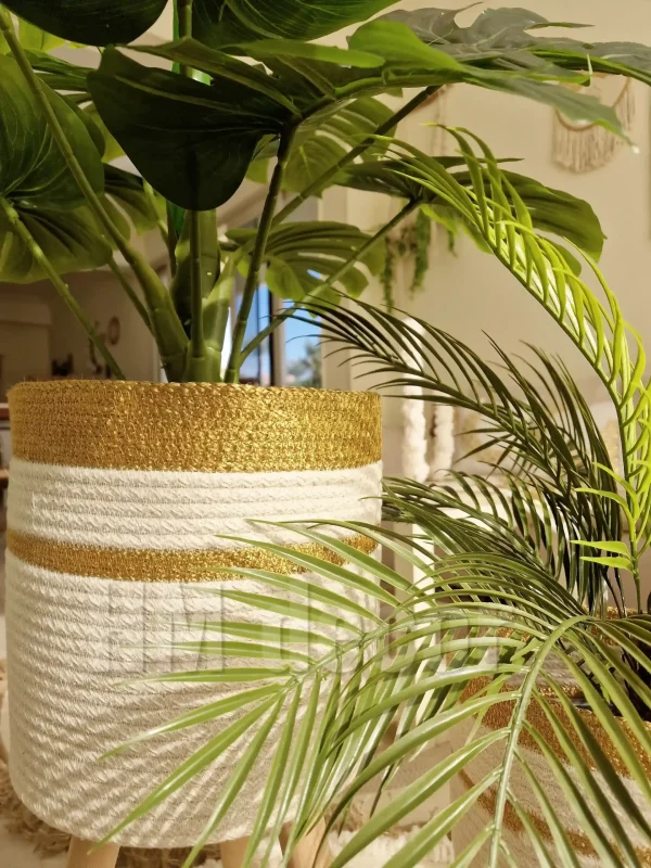 Pot and plant shape31