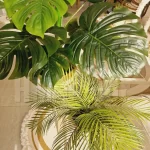 Pot and plant shape31