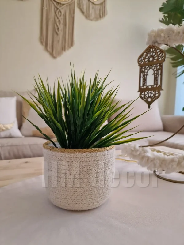 Cotton pot & plant shape10