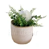 Cotton pot & plant shape12