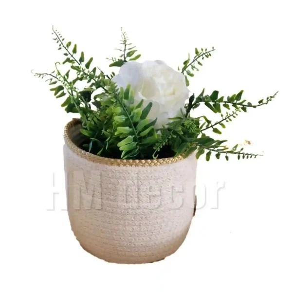 Cotton pot & plant shape12