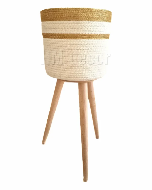 Pot and plant shape31