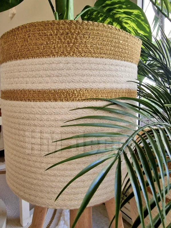 Pot and plant shape31