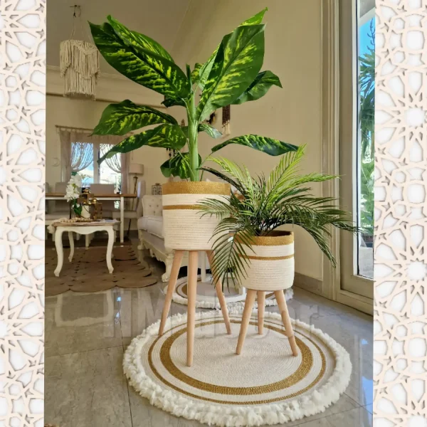 poster_2024-02-09-054201 Pot and plant shape30