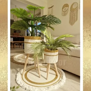 Pot and plant shape31