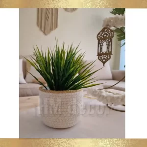 Cotton pot & plant shape10