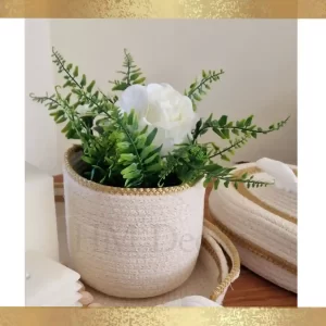 Cotton pot & plant shape12