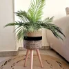 plants pot shape31