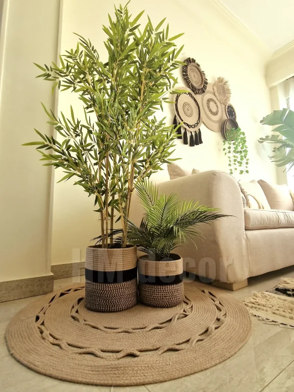 Matching Collection 12