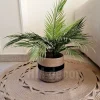 pot a plant 308 Basket shape14