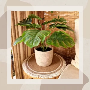 Set Pot and plant spp35